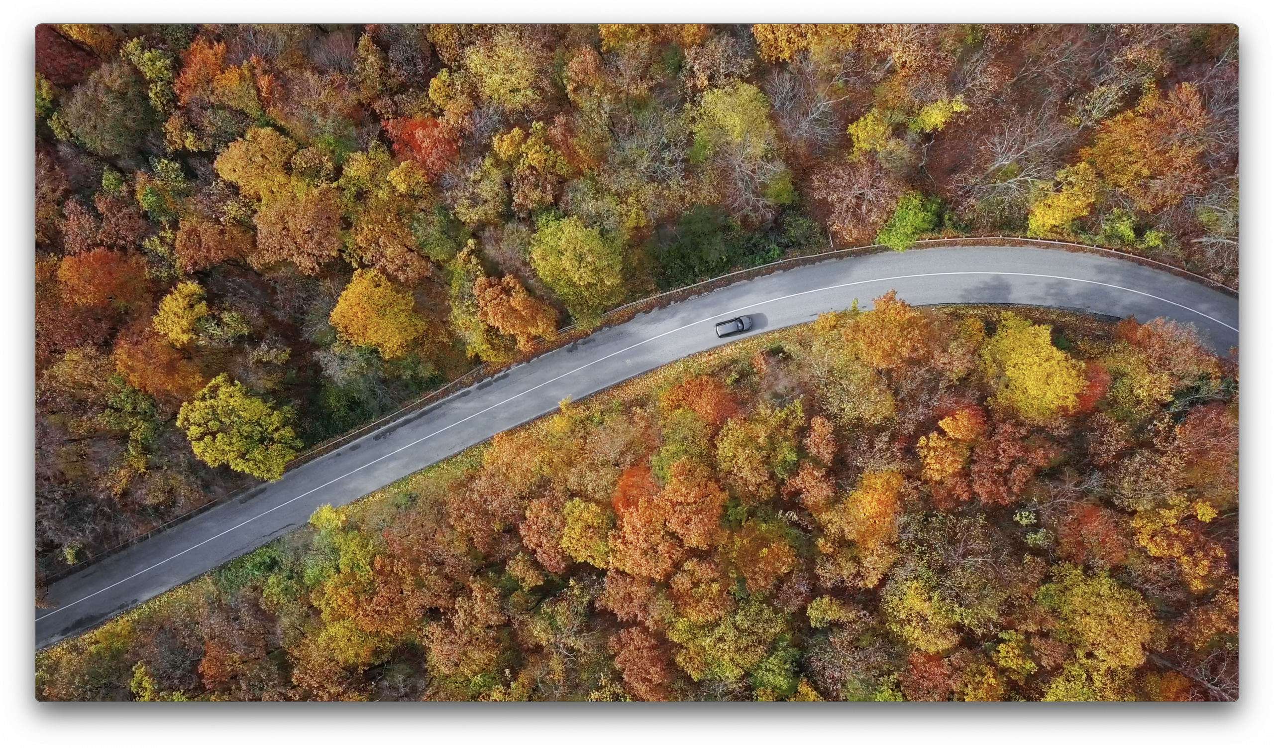 Fahrschulauth fährt durch einen kurvigen Herbstwald