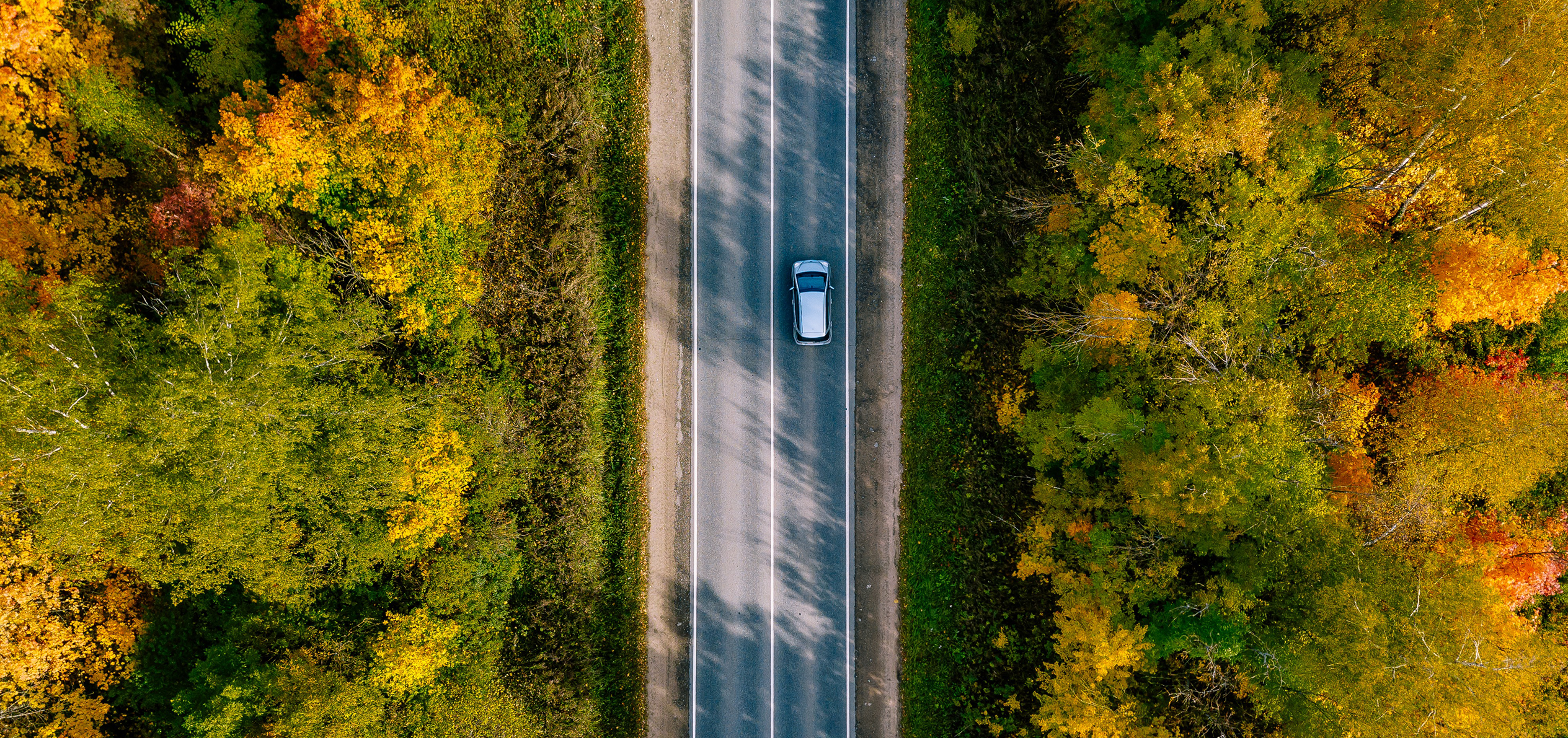 Das Bild zeigt ein fahrendes Auto auf einer geteerten Straße, außerorts. Das Auto fährt durch einen Herbstwald. Es steht für die Praxisfahrstunden.